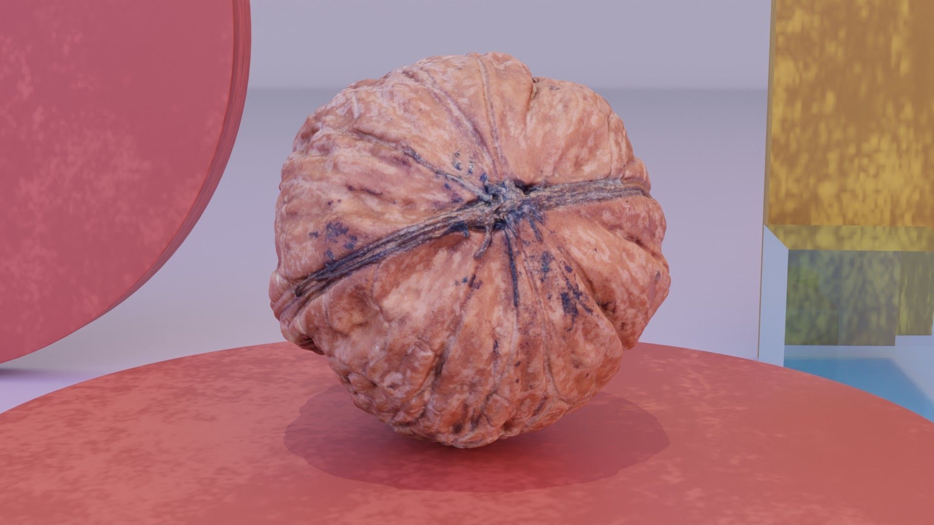 Walnut fruit 05 high-poly 3D model_4