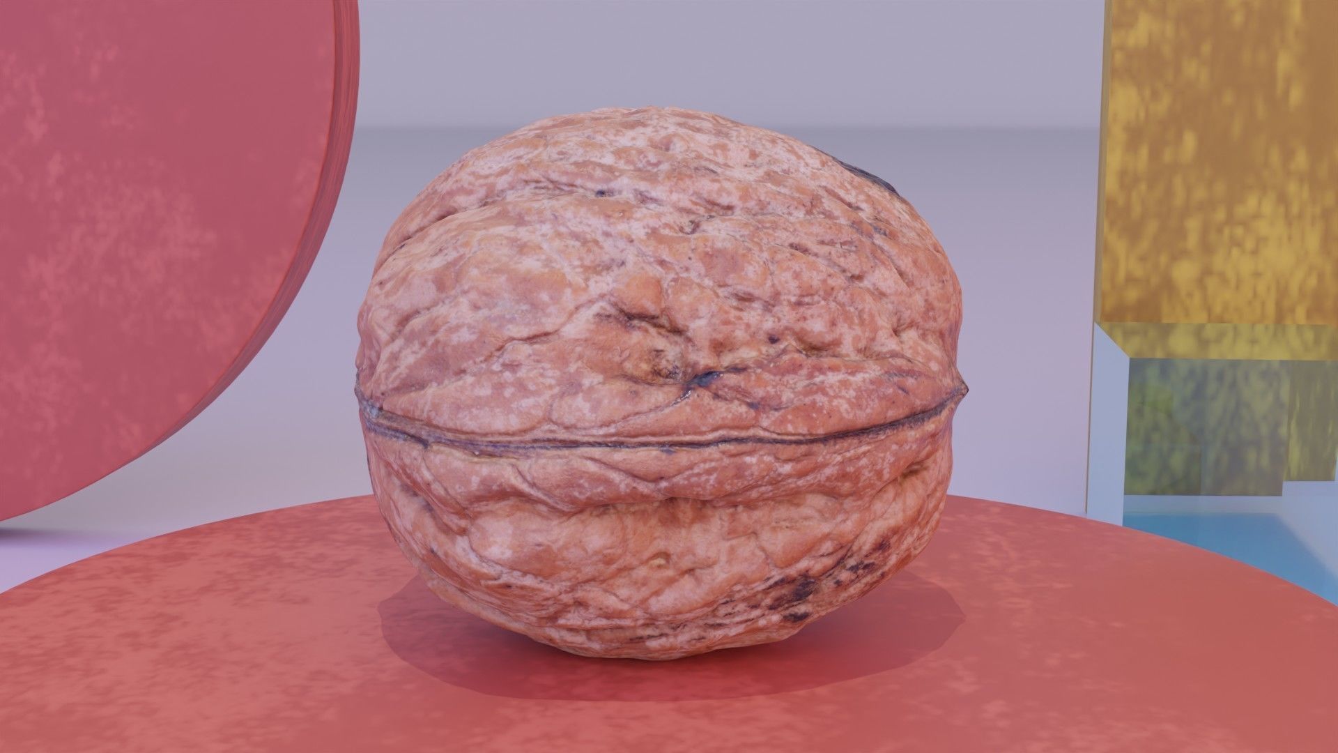 Walnut fruit 05 high-poly 3D model_1