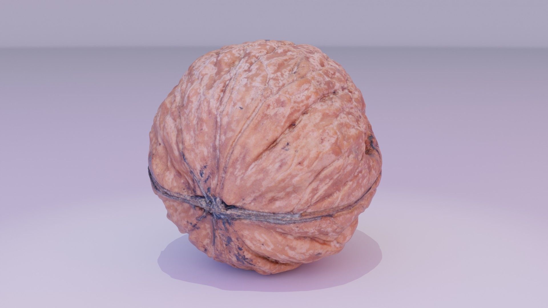 Walnut fruit 05 high-poly 3D model_13