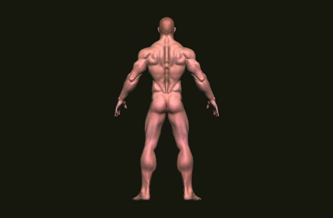 base mesh tall man  Low-poly 3D model_5