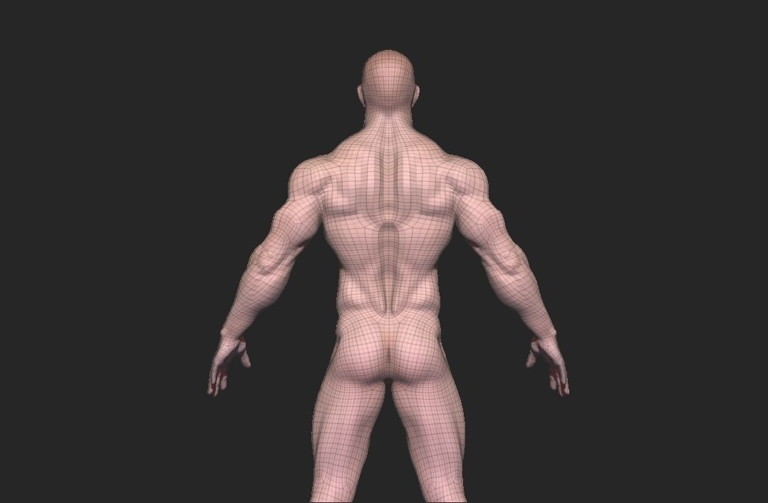 base mesh tall man  Low-poly 3D model_12
