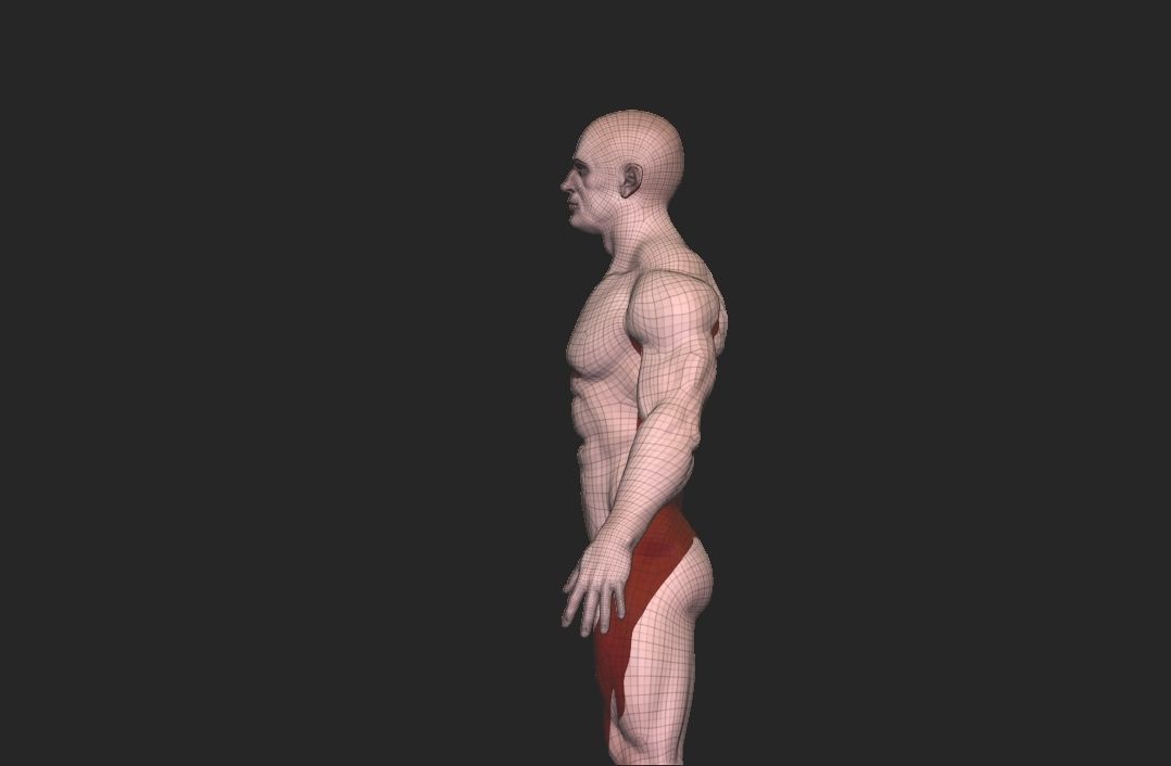 base mesh tall man  Low-poly 3D model_10