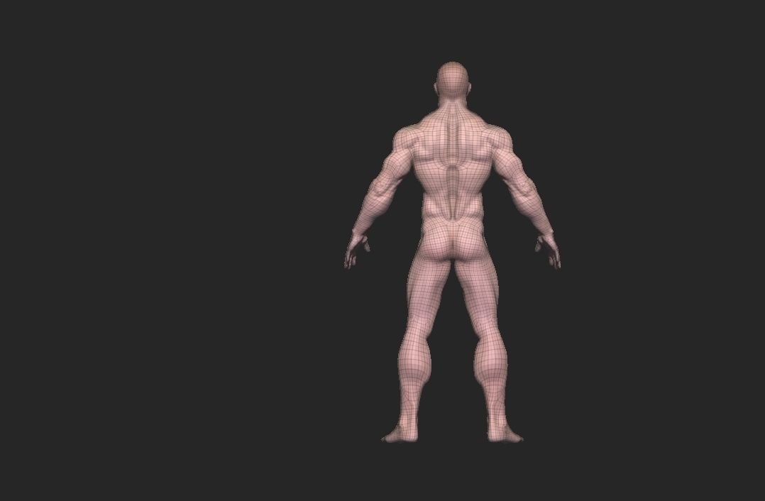 base mesh tall man  Low-poly 3D model_9
