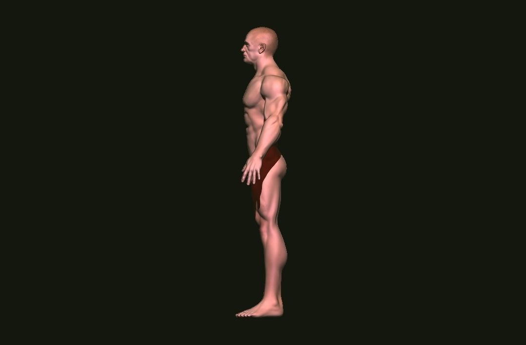 base mesh tall man  Low-poly 3D model_4