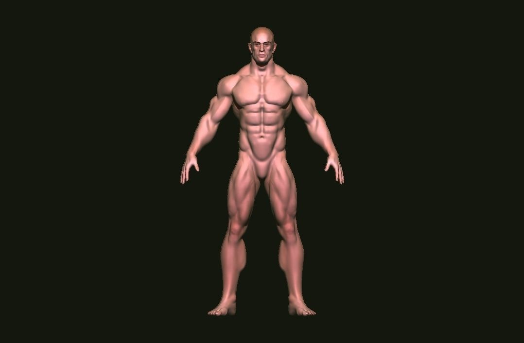 base mesh tall man  Low-poly 3D model_6