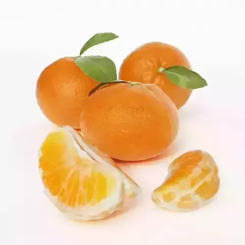 Whole Oranges And Slices 3D model