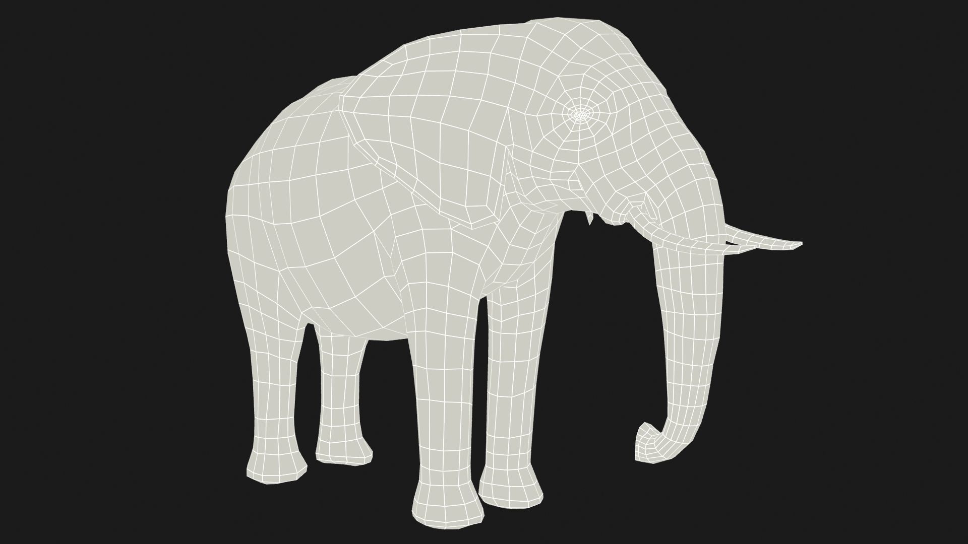 African elephant Low-poly 3D model_12