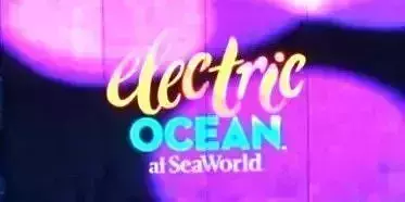 White Whale Dolphin Stadium Free 3D model