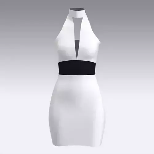 BLACK AND WHITE DRESS ELEGANT LOOK