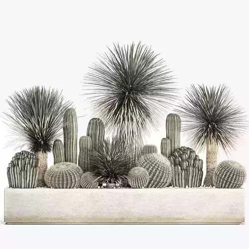 Cactus set in a concrete flowerpot for the interior 1099 3D model