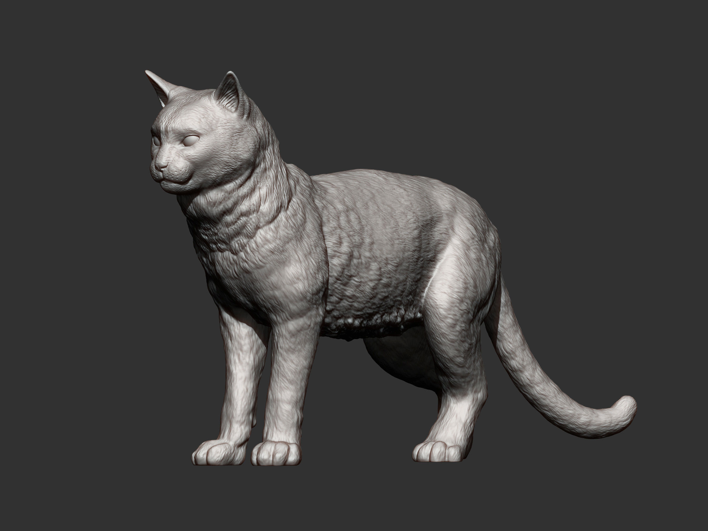 Cat for 3d printing 3D print model_7