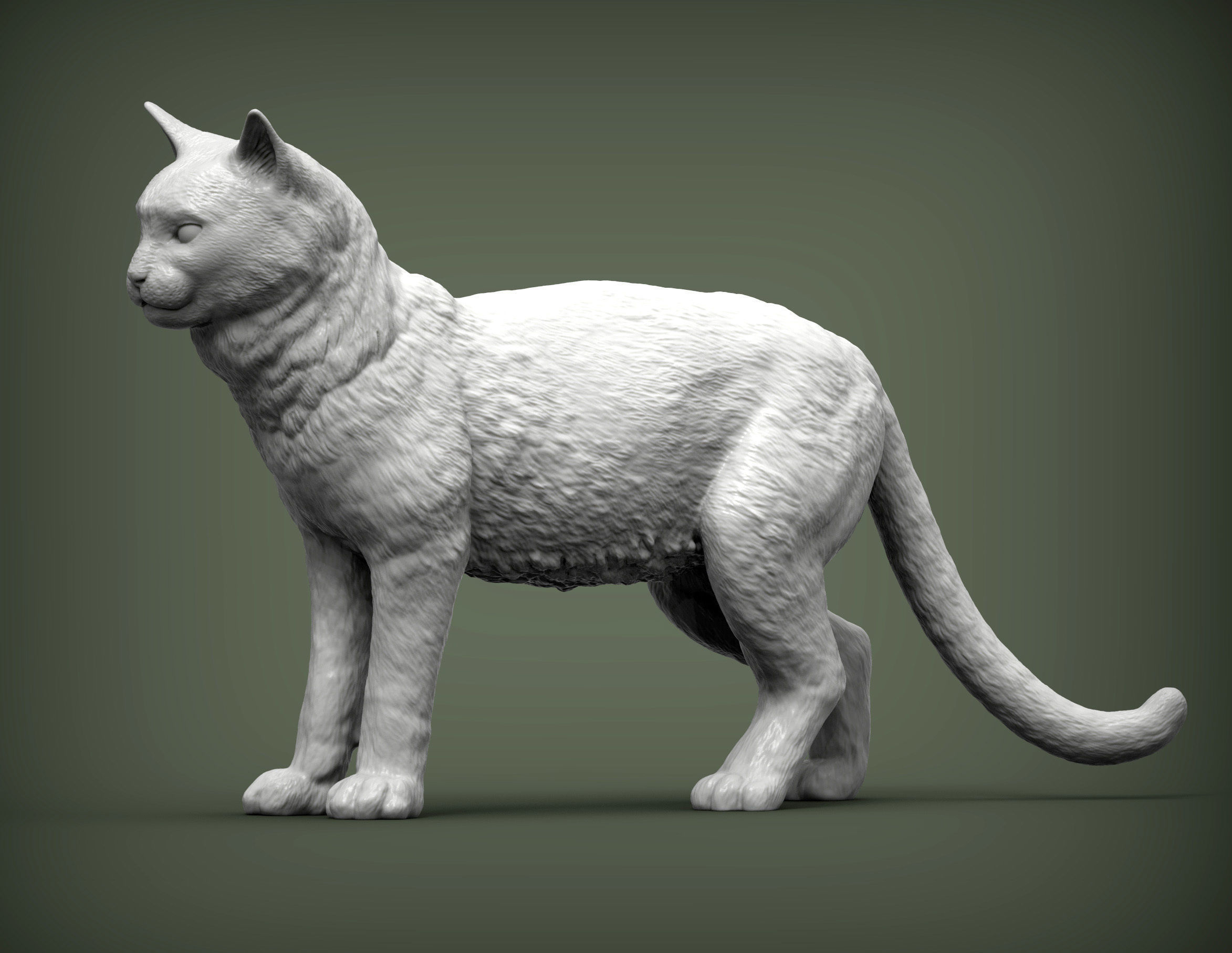Cat for 3d printing 3D print model_3