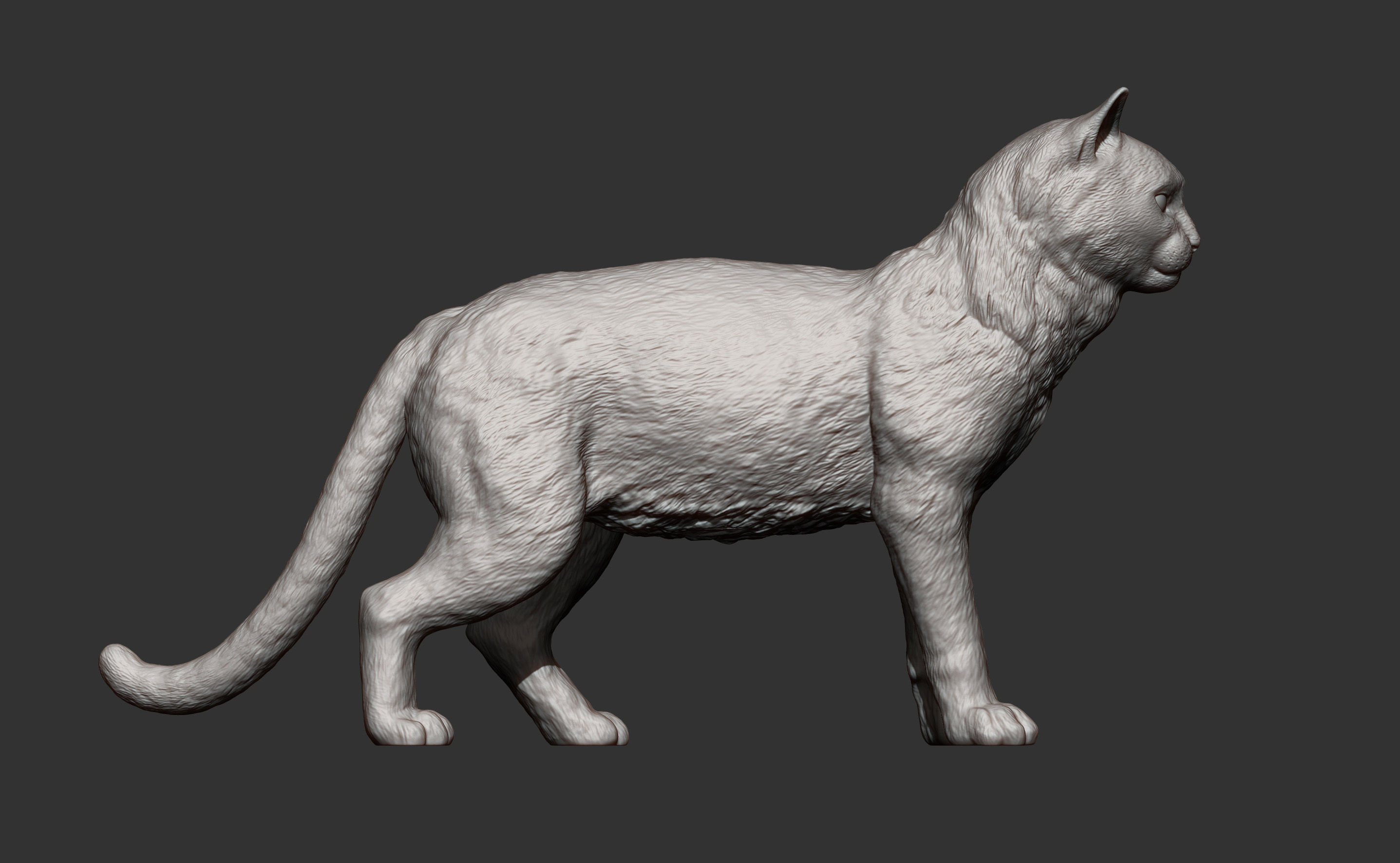 Cat for 3d printing 3D print model_5