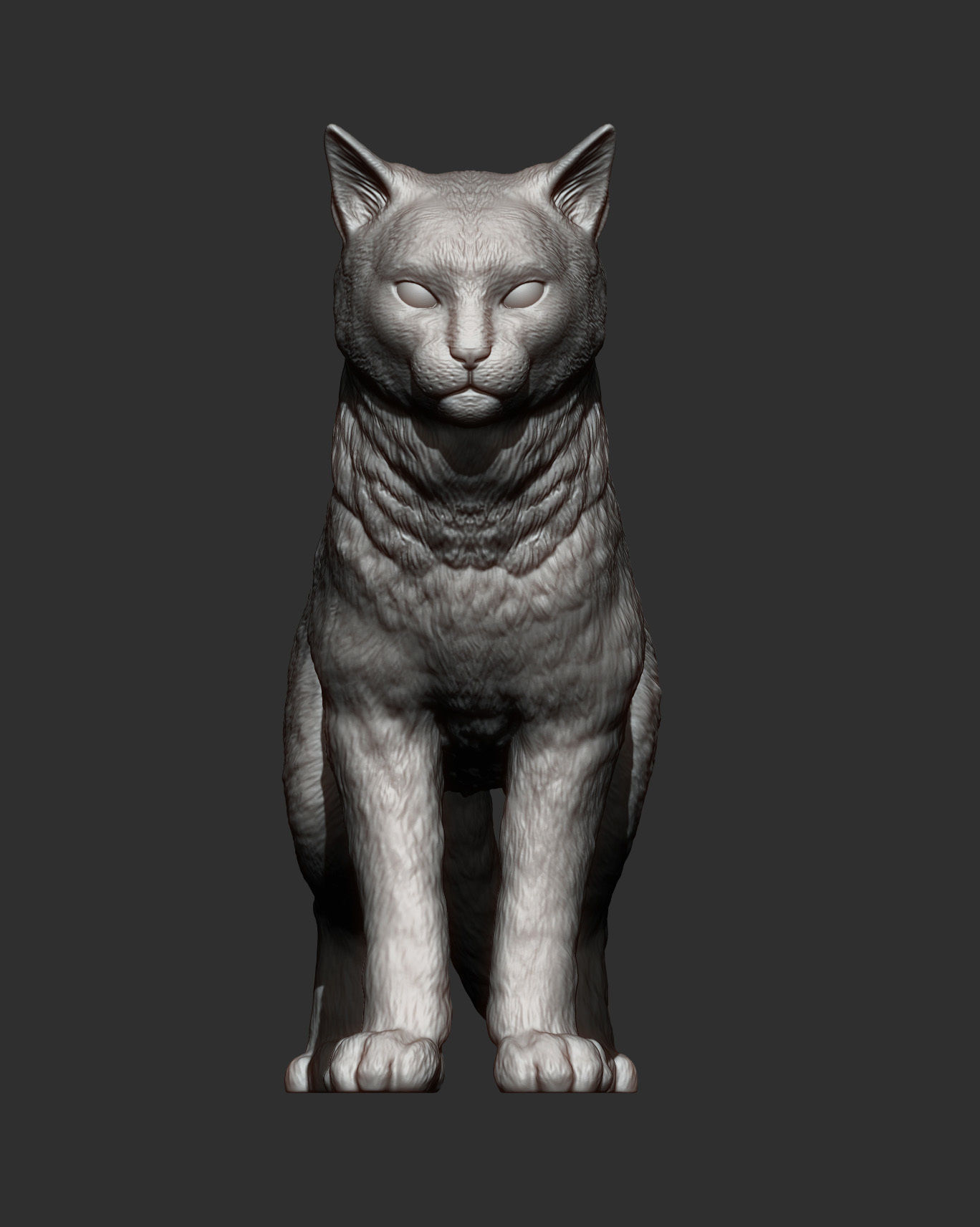 Cat for 3d printing 3D print model_6