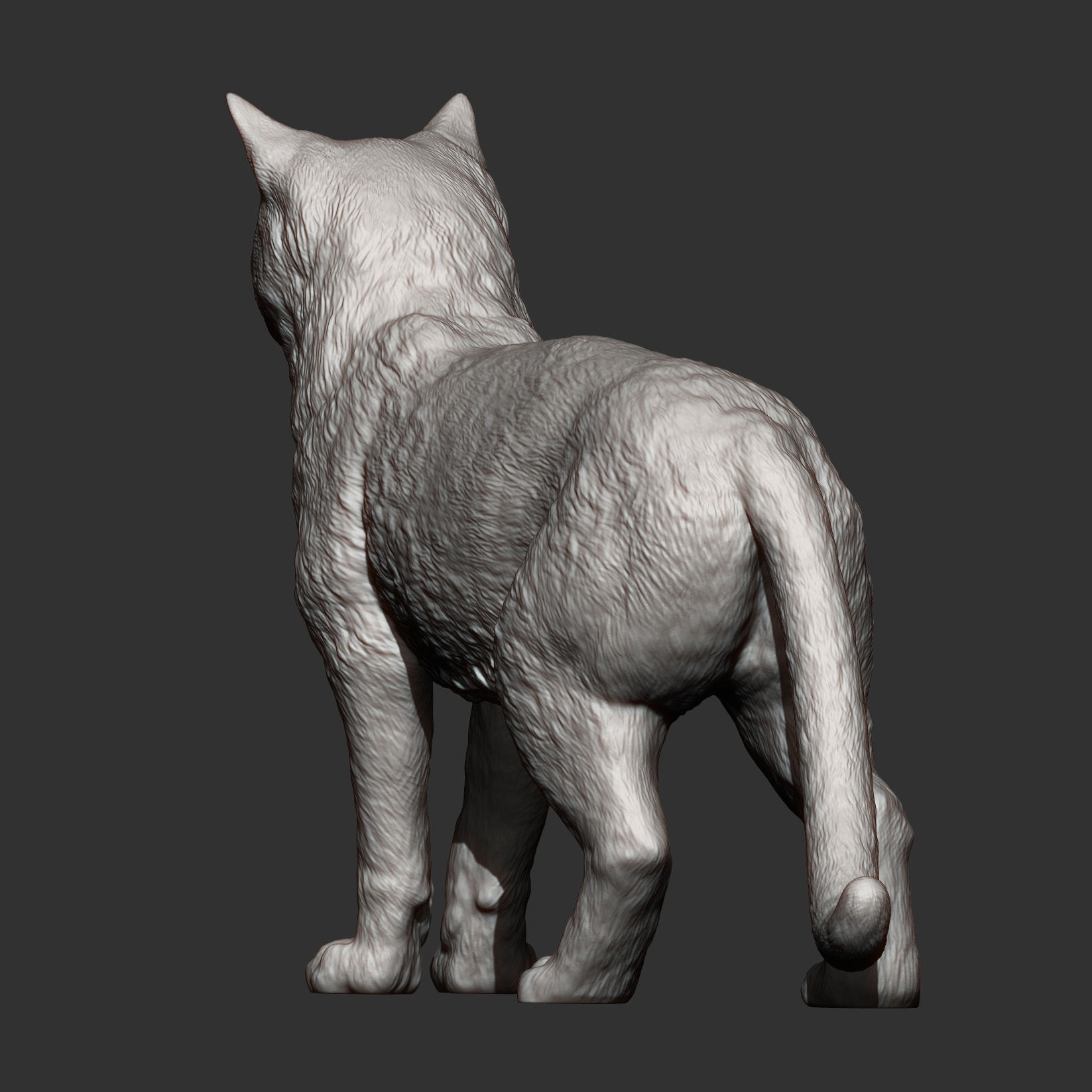 Cat for 3d printing 3D print model_8