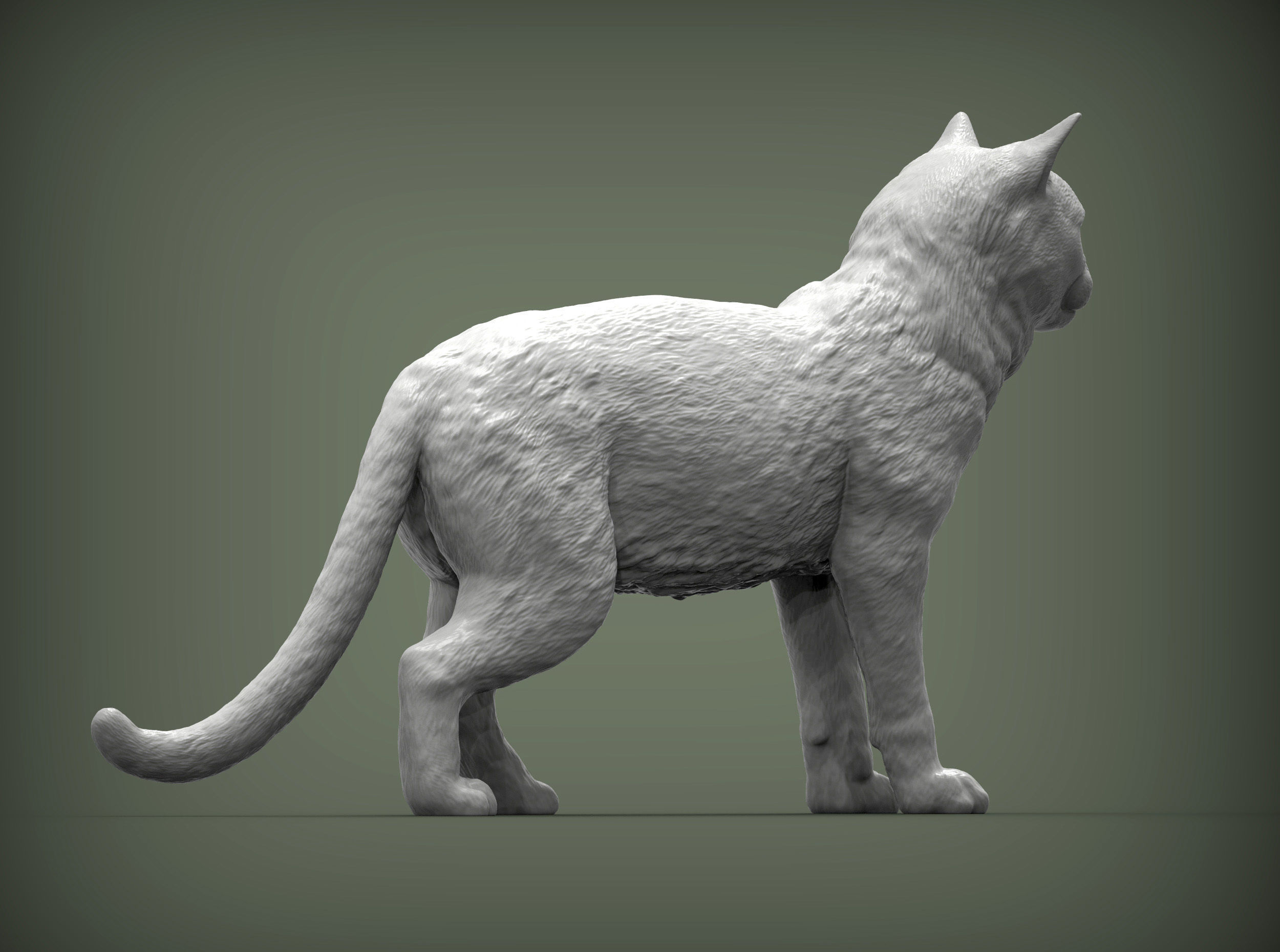 Cat for 3d printing 3D print model_2