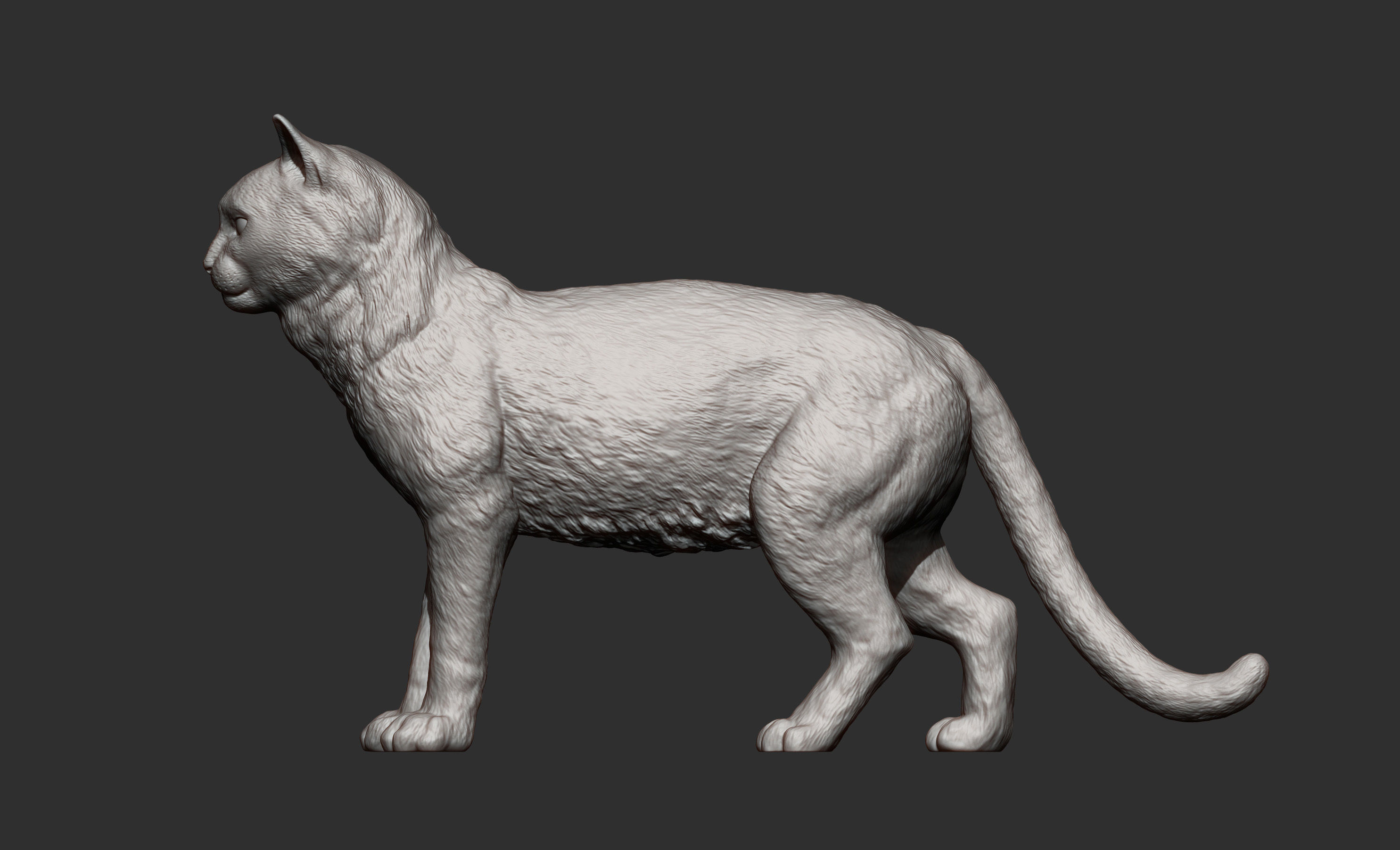 Cat for 3d printing 3D print model_4