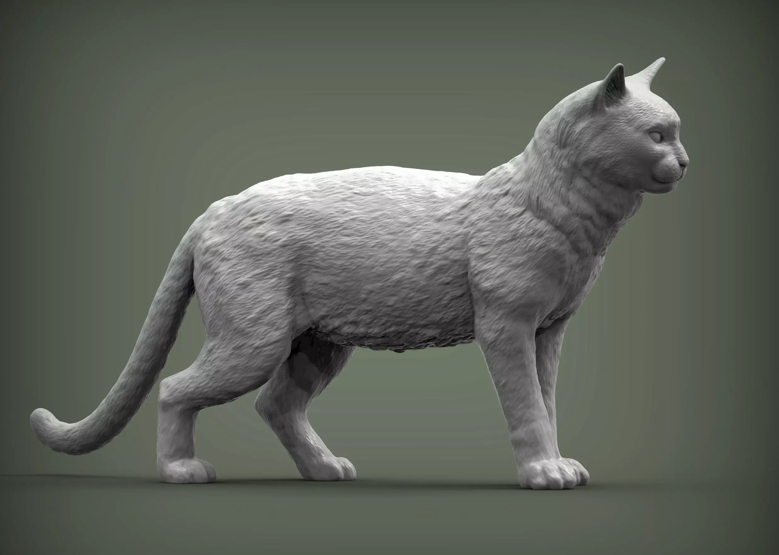 Cat for 3d printing 3D print model_0