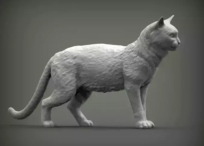Cat for 3d printing 3D print model