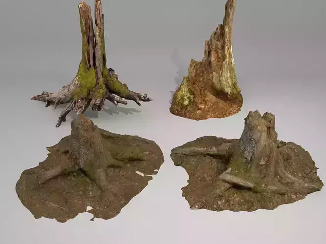 tree root 3D model