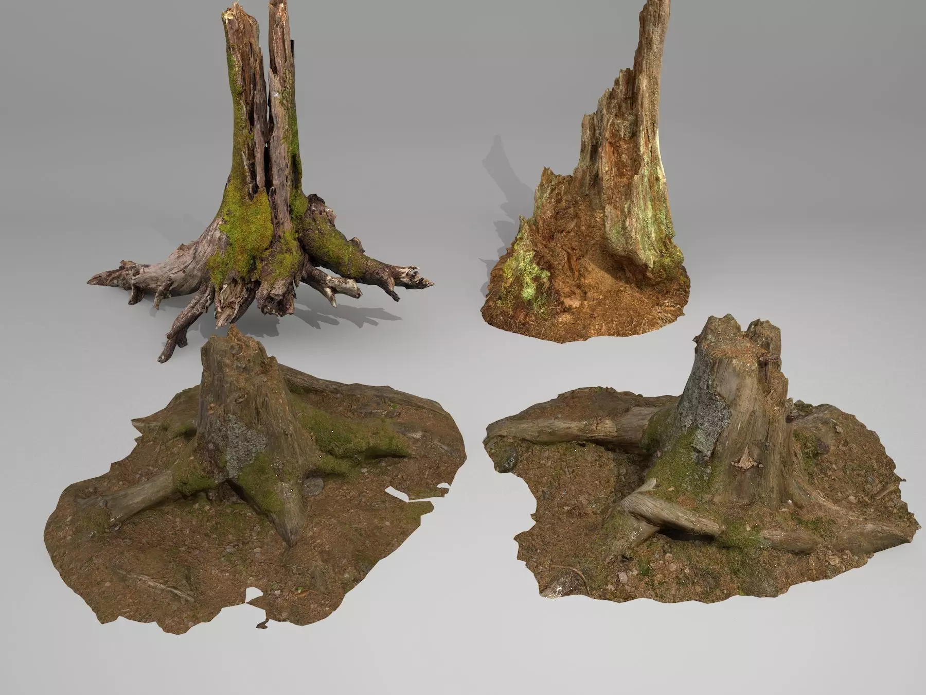 tree root 3D model_0
