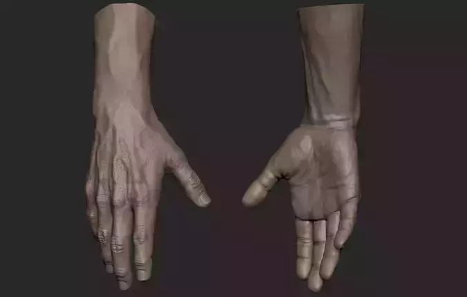 Realistic Male Hand Sculpt 1 3D model