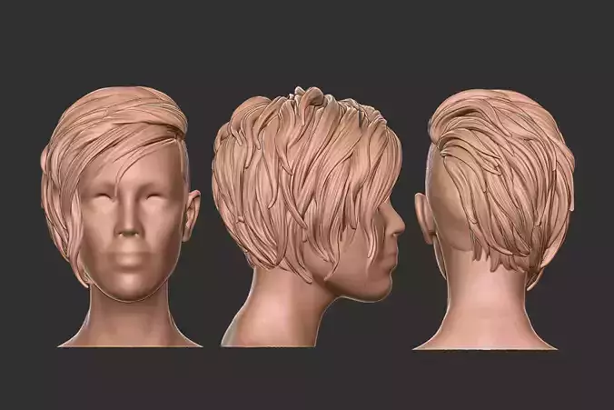 hair 23 3D print model