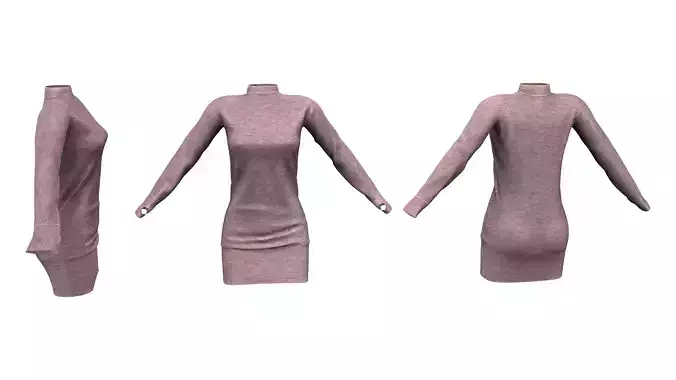 Turtleneck Long Sleeve Dress