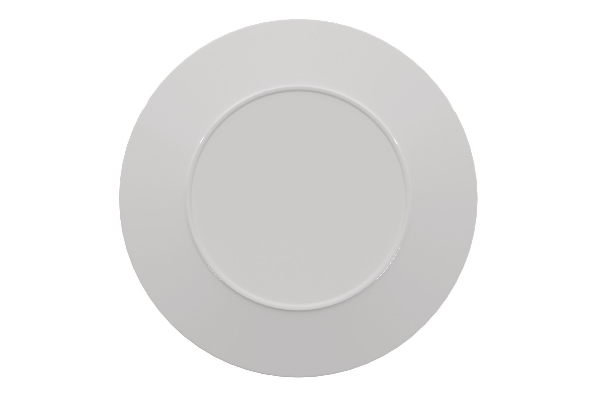 Plate 3D model_4