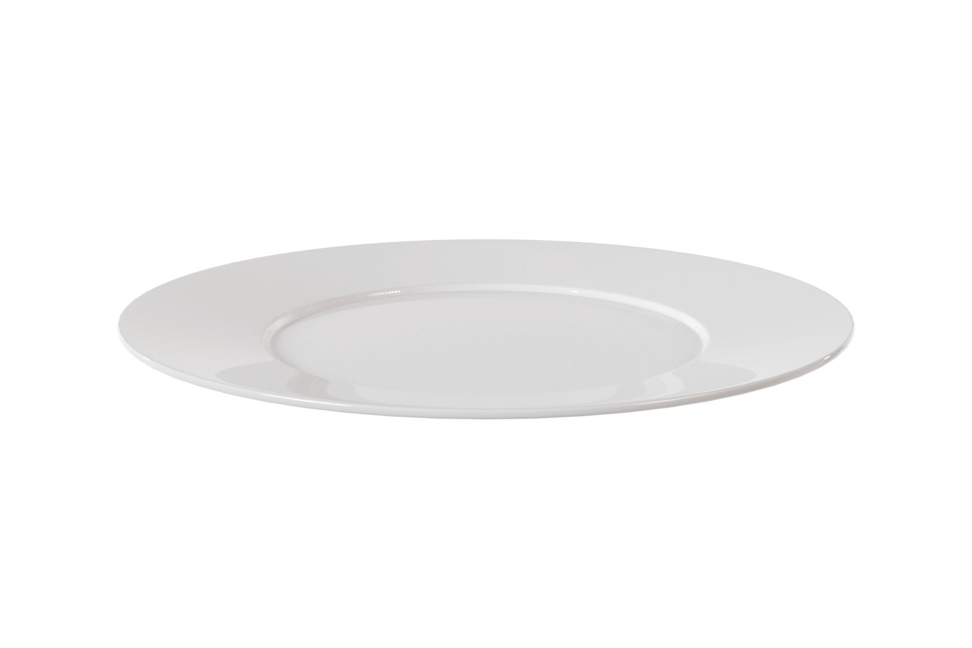 Plate 3D model_2