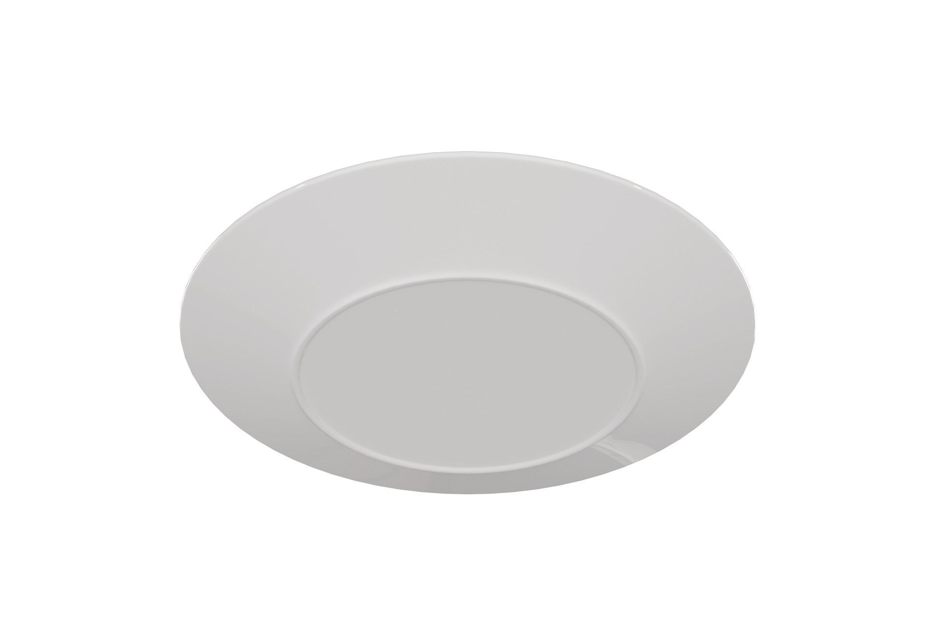 Plate 3D model_5