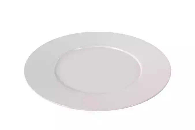Plate 3D model