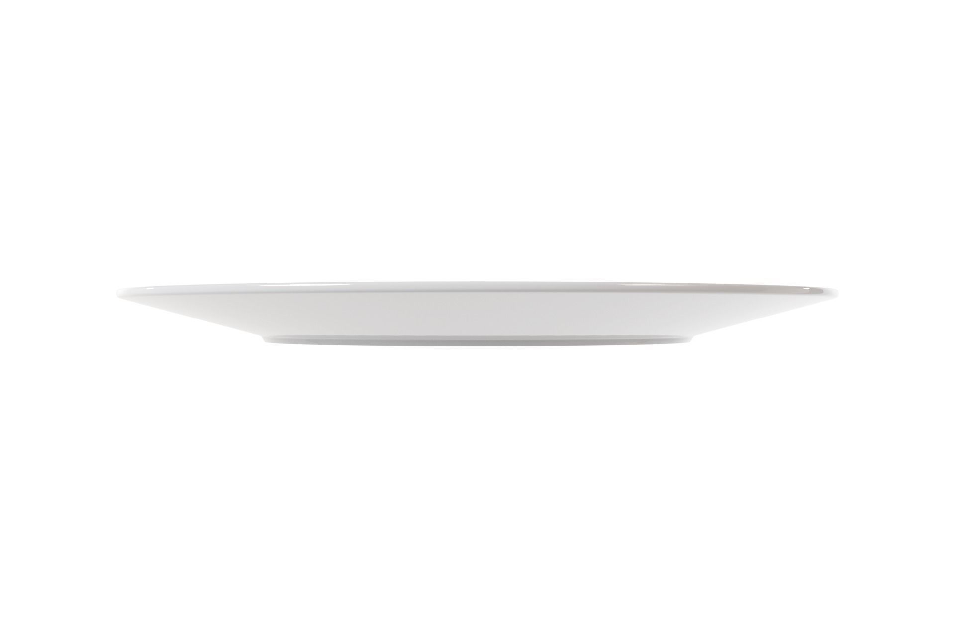 Plate 3D model_1