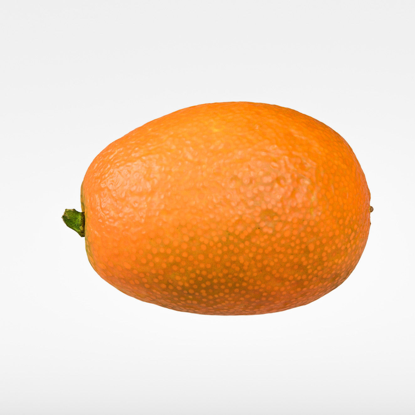 Kumquat 3D model_5