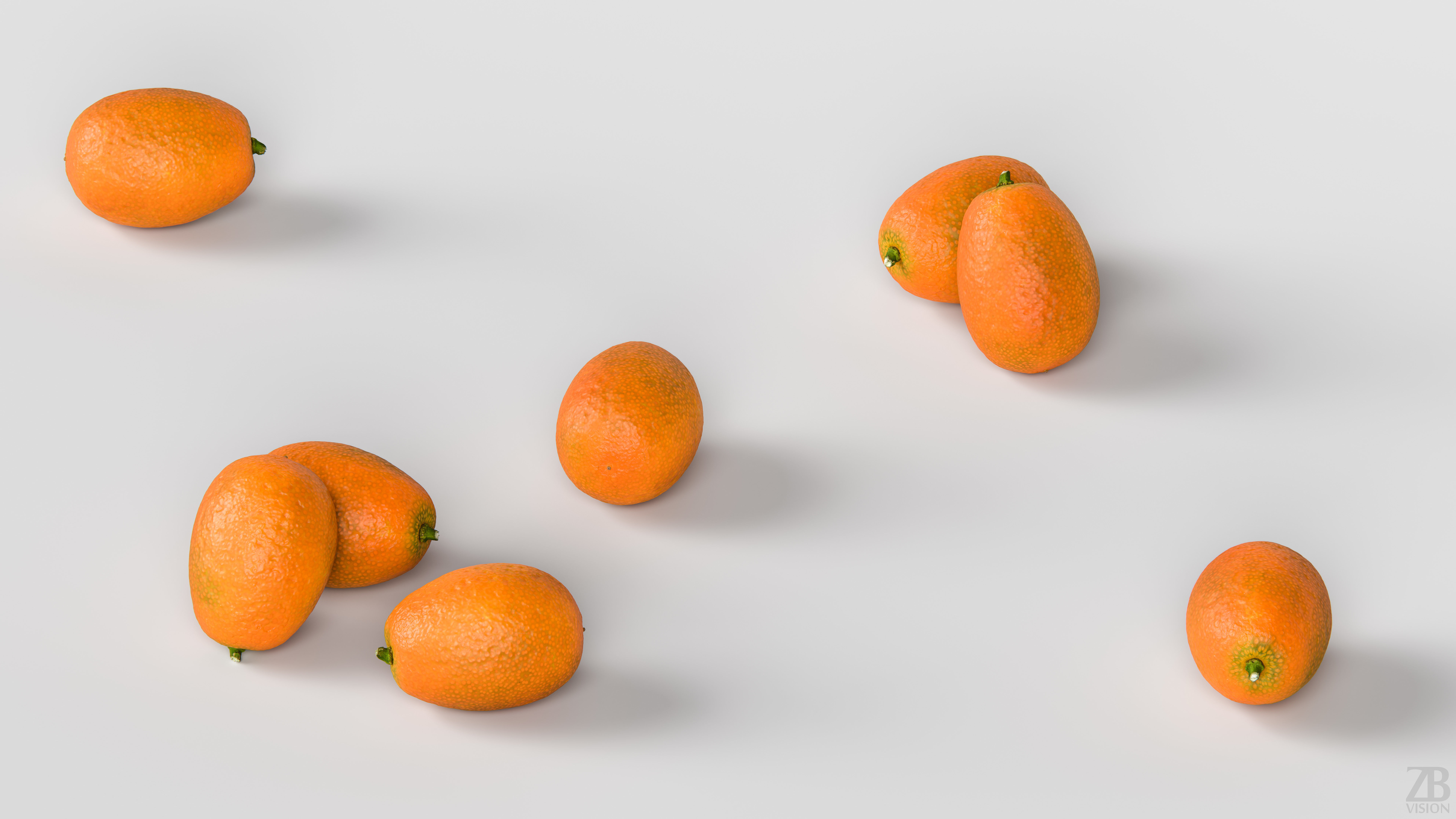 Kumquat 3D model_2
