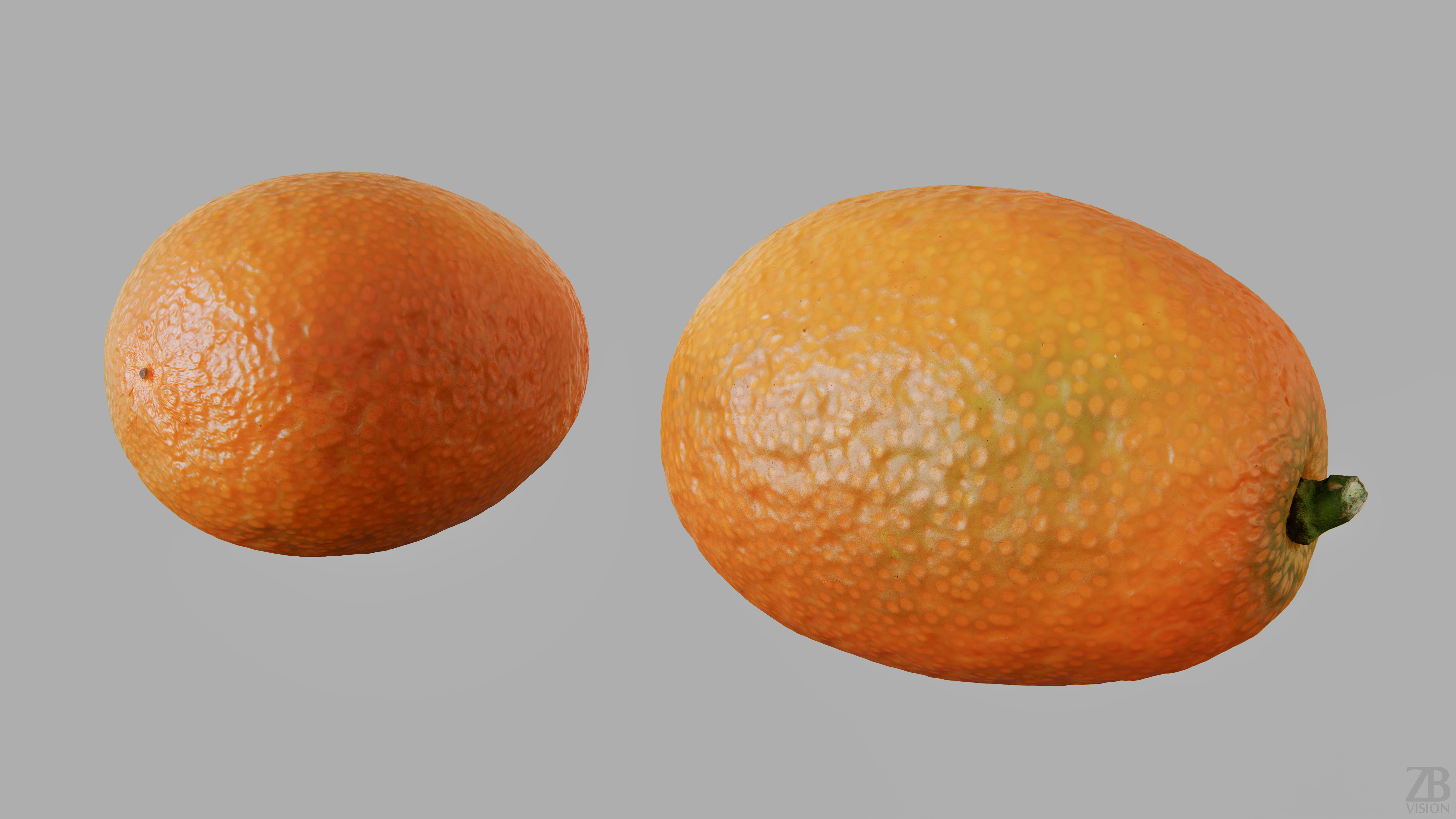 Kumquat 3D model_12
