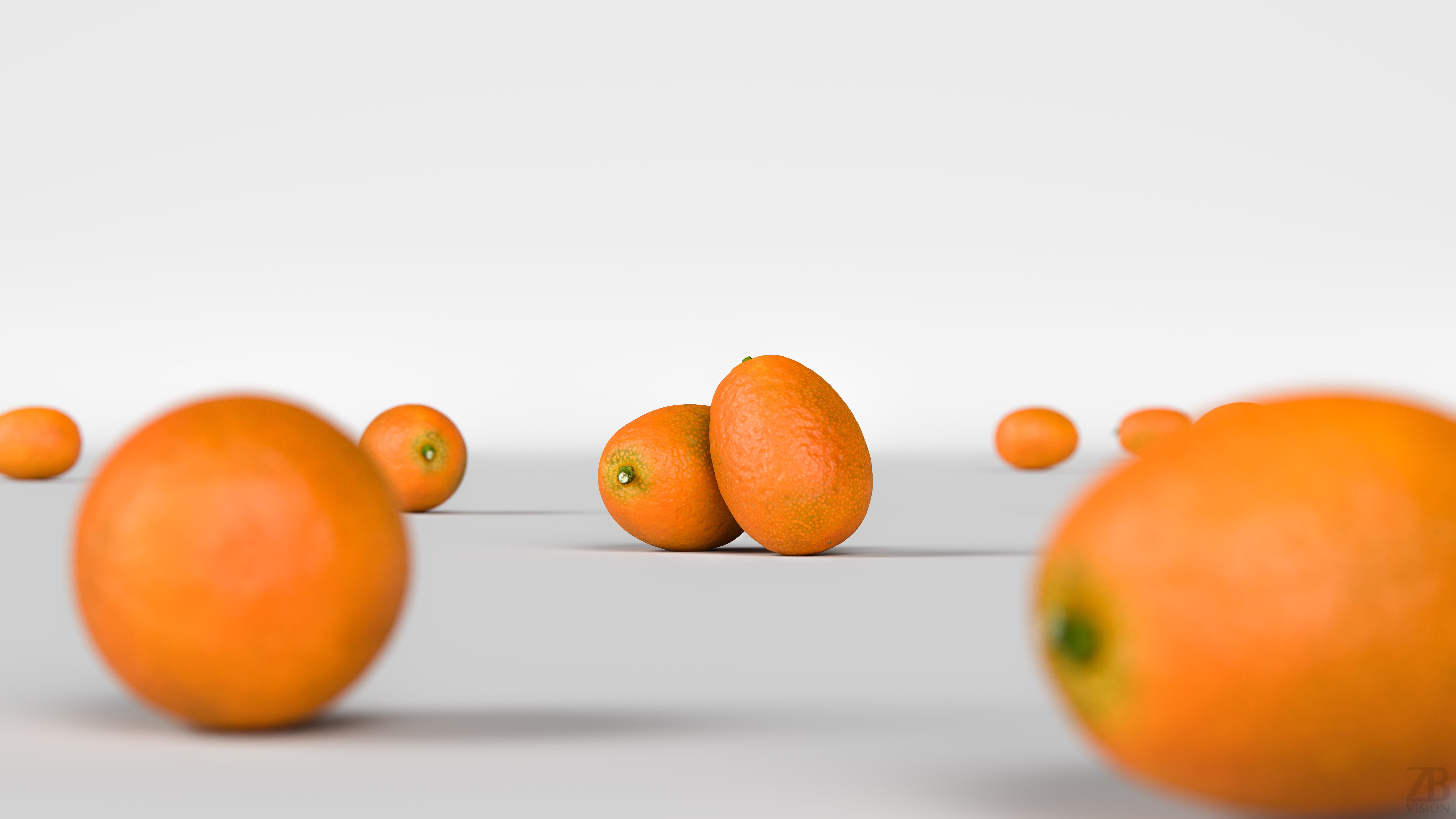 Kumquat 3D model_1