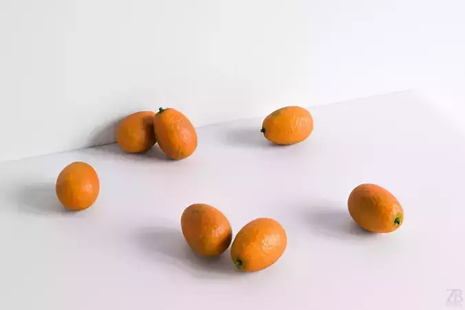 Kumquat 3D model