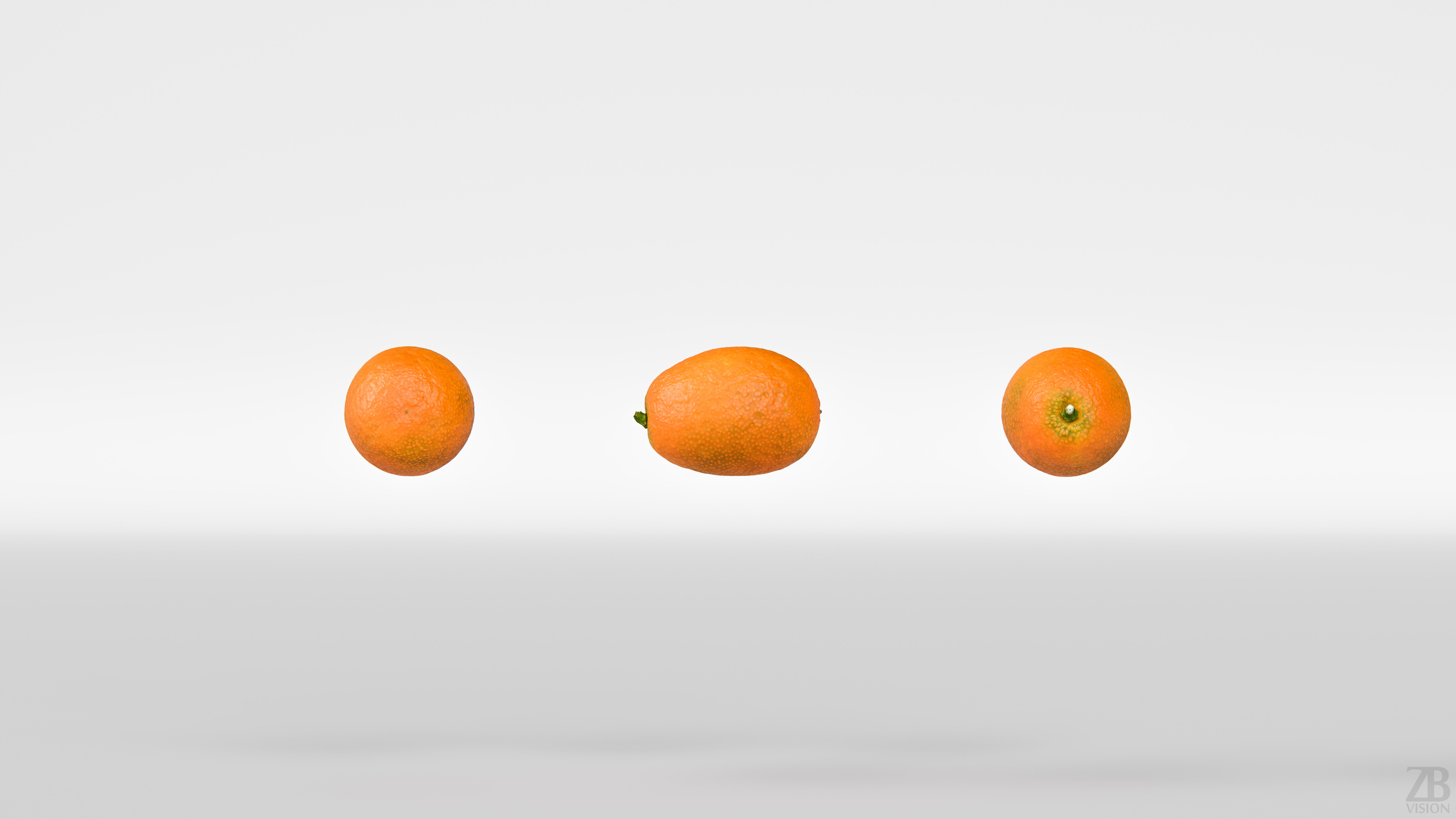 Kumquat 3D model_4