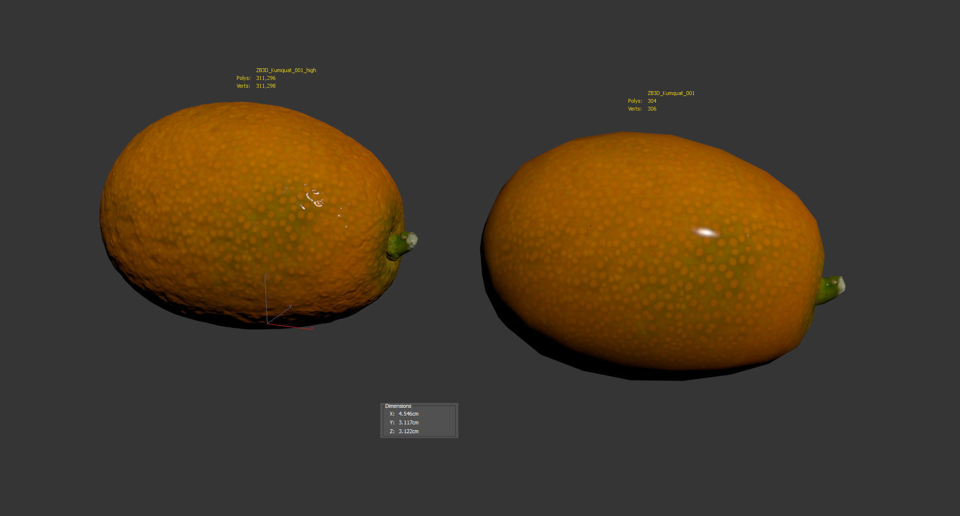 Kumquat 3D model_8