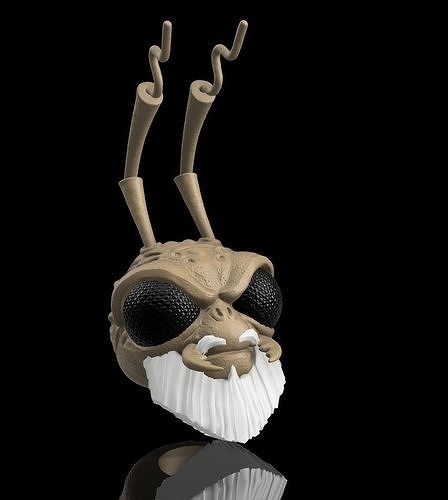 Custom Head - Master Insect Assassin 3D print model