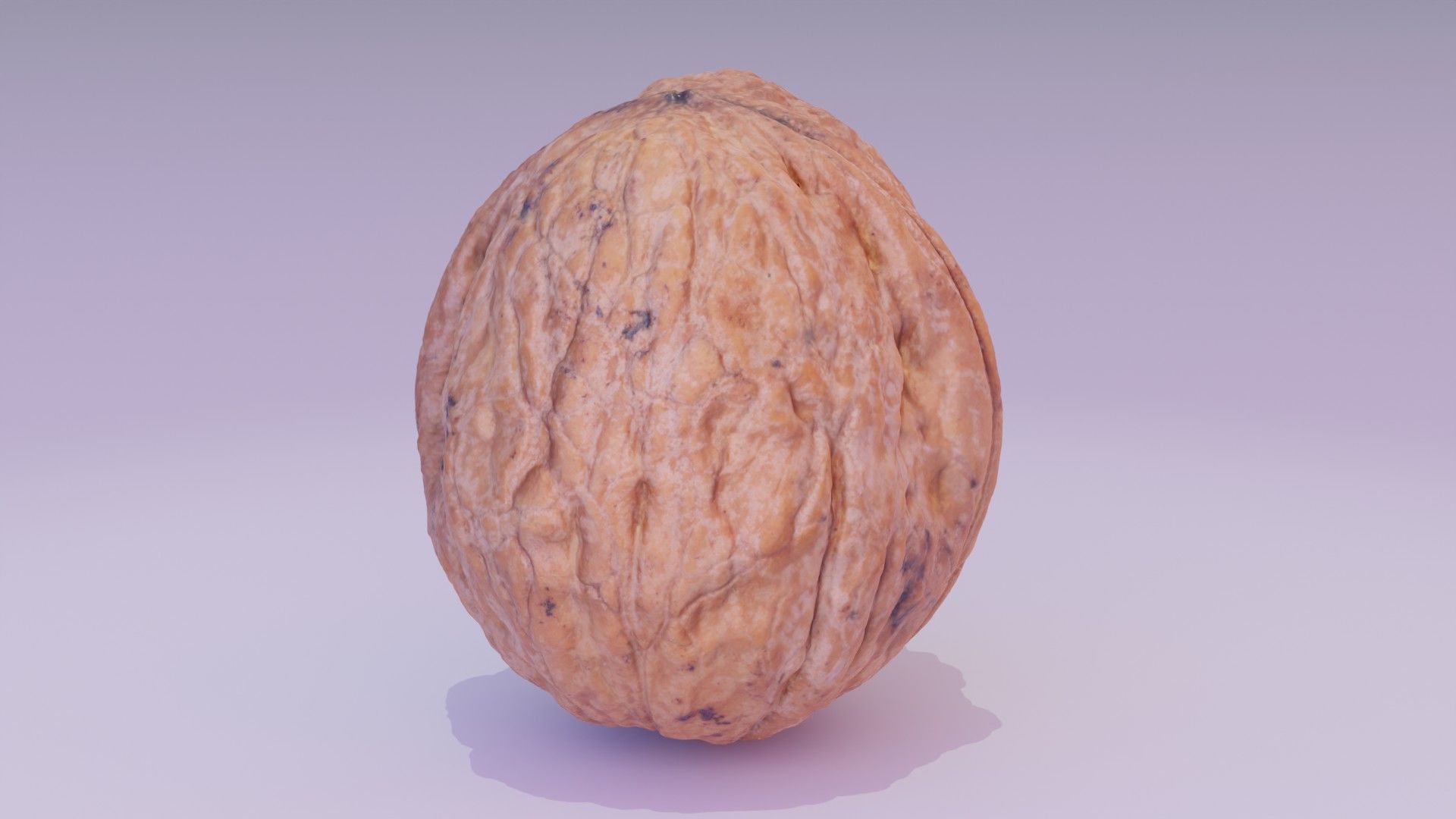 Walnut fruit 06 high-poly 3D model_18