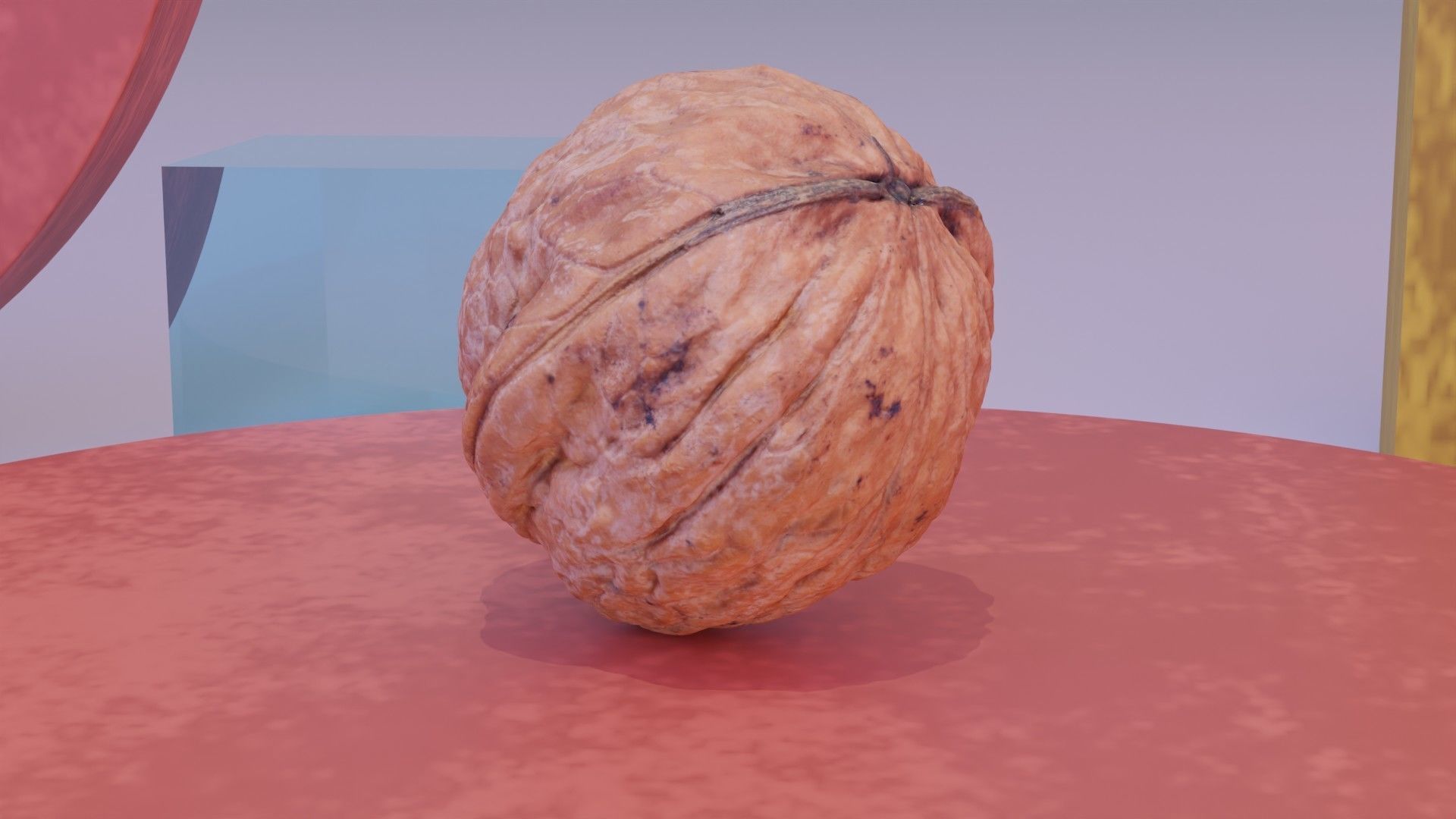 Walnut fruit 06 high-poly 3D model_5