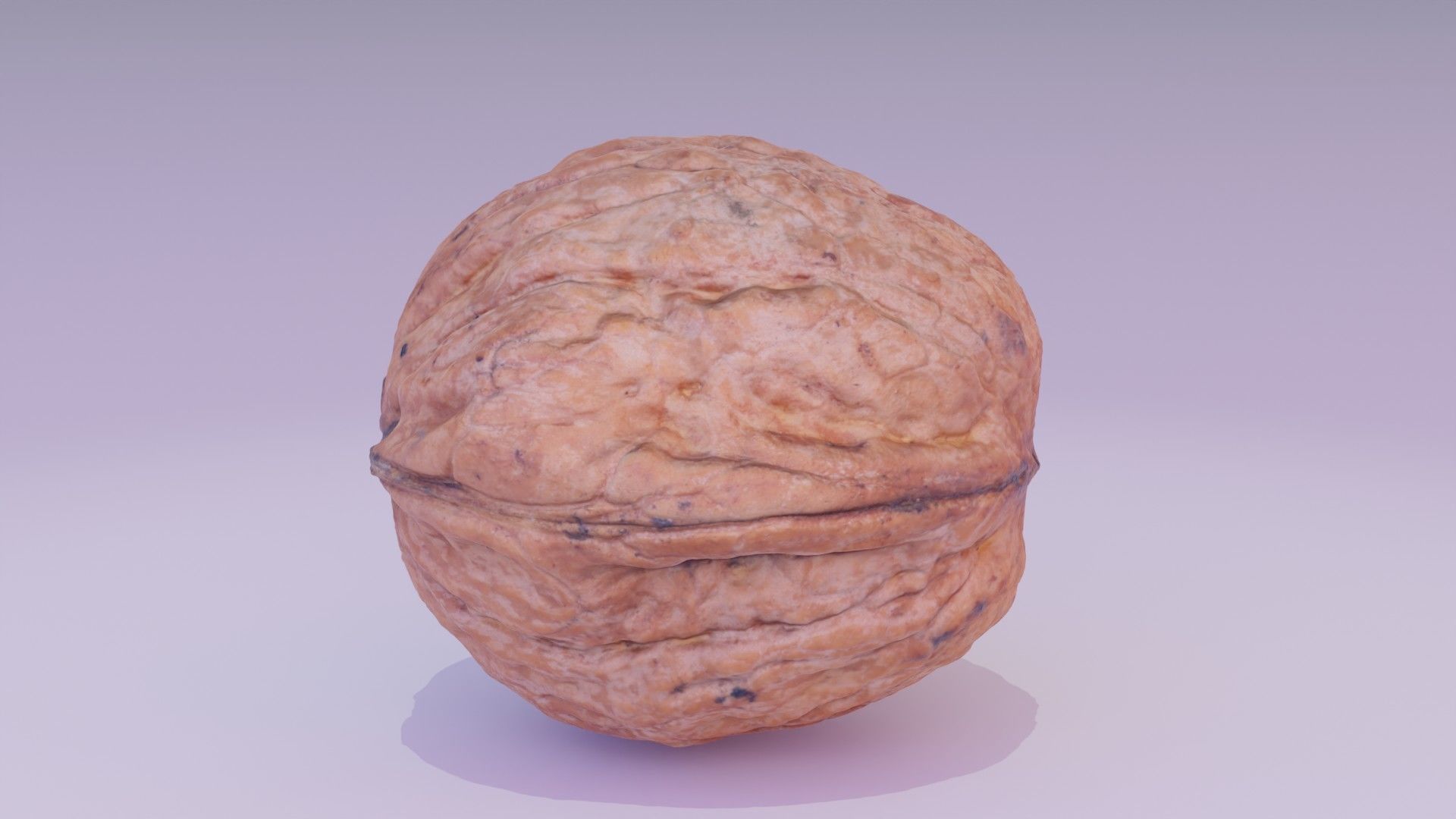 Walnut fruit 06 high-poly 3D model_11