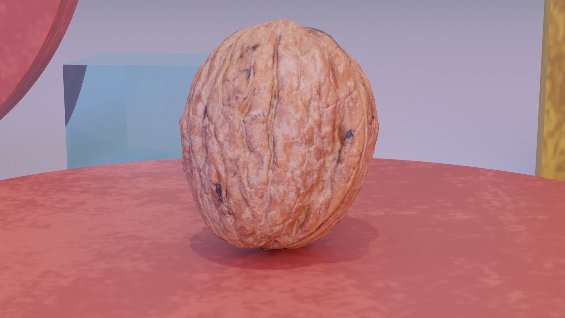 Walnut fruit 06 high-poly 3D model_8