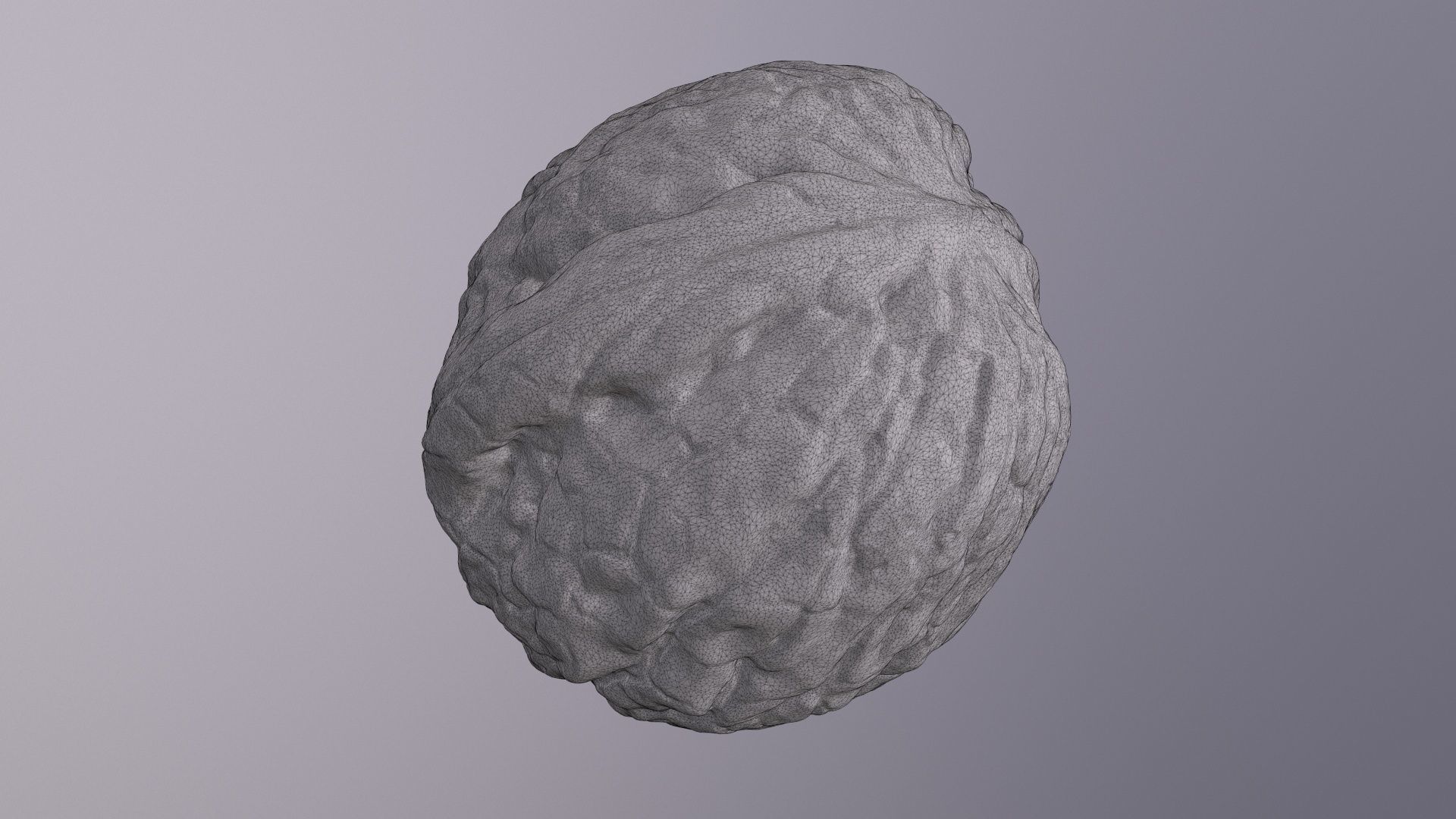 Walnut fruit 06 high-poly 3D model_23