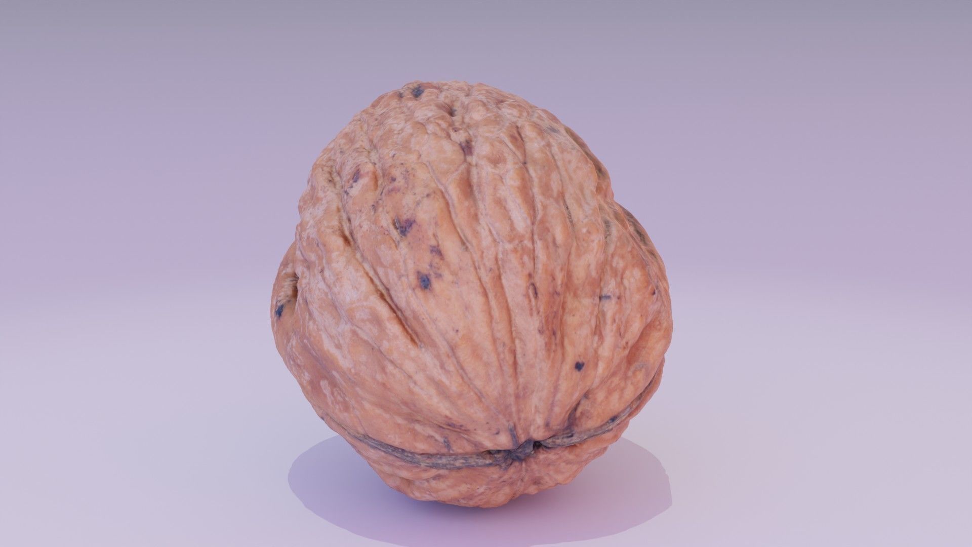 Walnut fruit 06 high-poly 3D model_14
