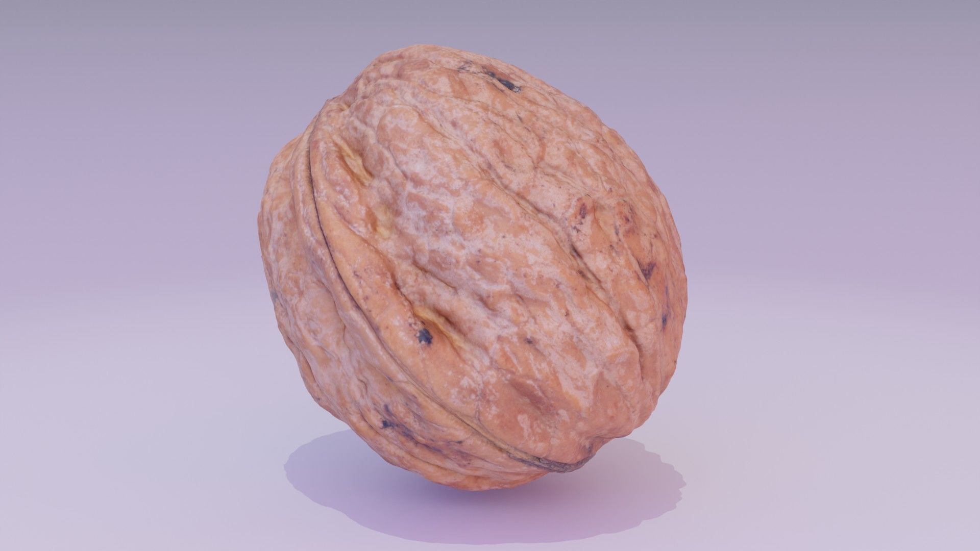 Walnut fruit 06 high-poly 3D model_16