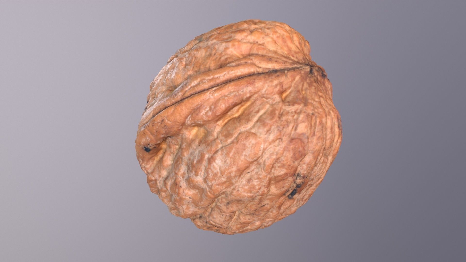 Walnut fruit 06 high-poly 3D model_21