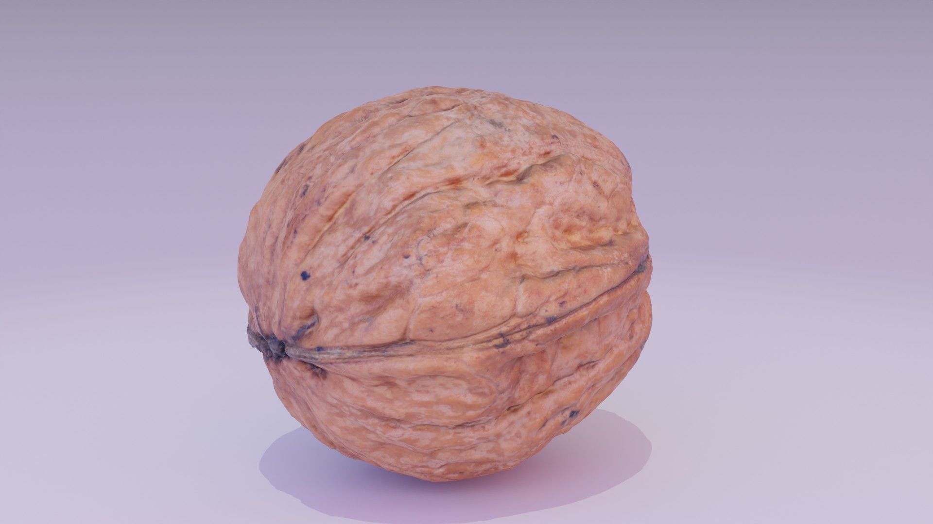 Walnut fruit 06 high-poly 3D model_12